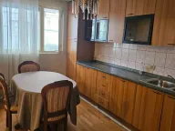 Izdavanje, jednosoban stan, 90m², Masline, Podgorica - image 4