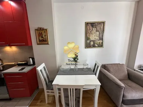 Izdavanje, jednosoban stan, 45m², Ljubović, Podgorica - image 2