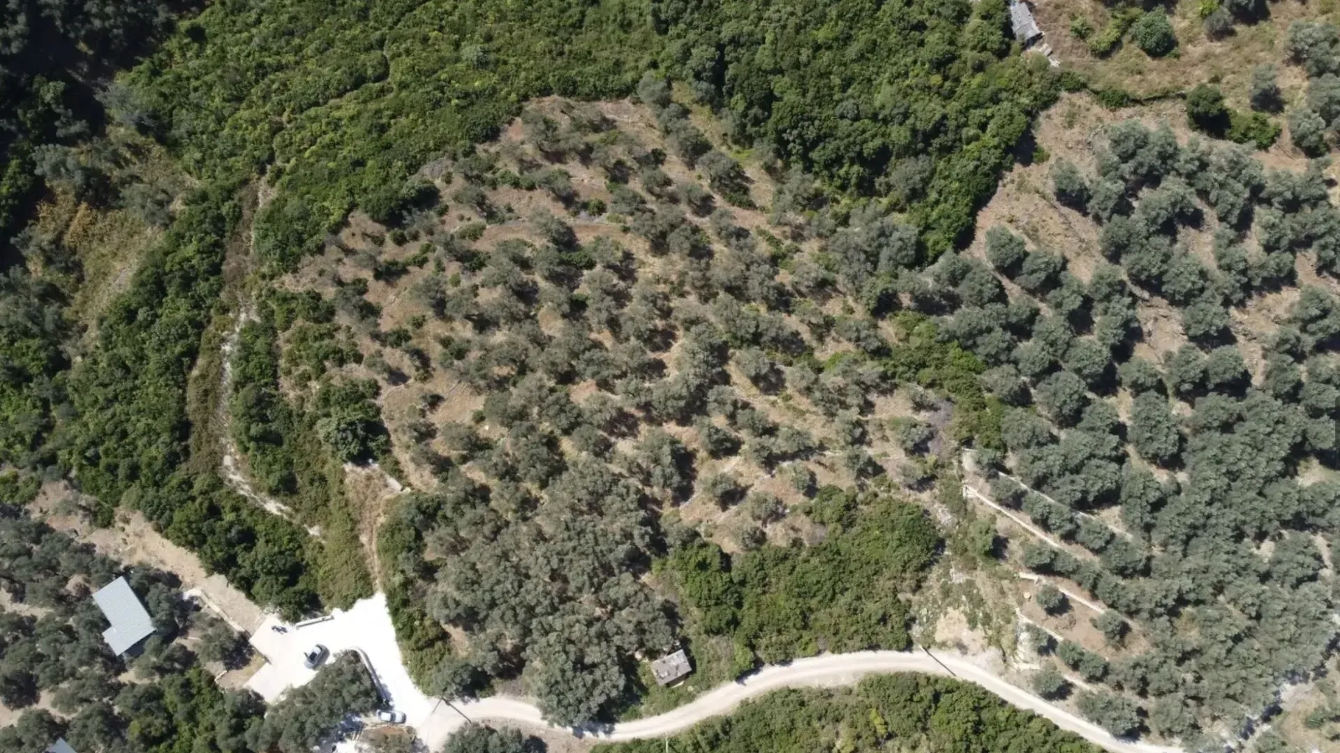 Prodaja, plac, 1996m², Ulcinj, Crna Gora