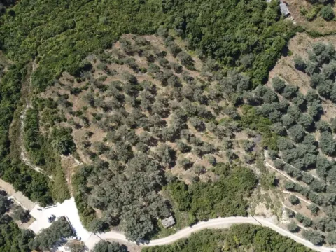 Prodaja, plac, 1996m², Ulcinj, Crna Gora - image 3