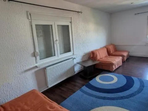 Prodaja, kuća, 380m², Šanac, Loznica - image 11