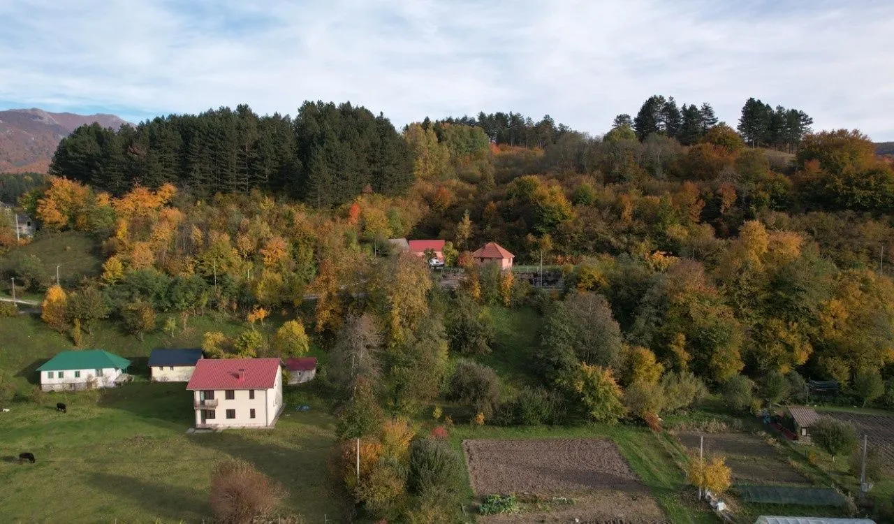 Prodaja, plac, 6000m², Centar, Kolašin