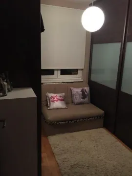 Small room with a sofa, rug, and wardrobe. - image 6