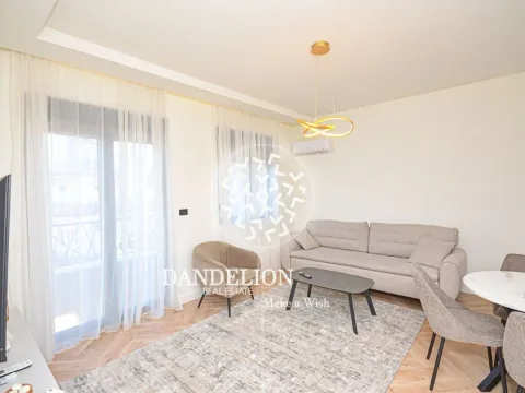 Izdavanje, jednosoban stan, 60m², Stari Aerodrom, Podgorica - image 2