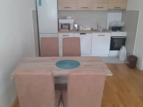 Izdavanje, jednosoban stan, 44m², Stari Aerodrom, Podgorica - image 4