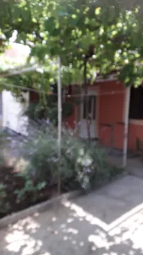 Dvorište kuće sa lozom. - image 2