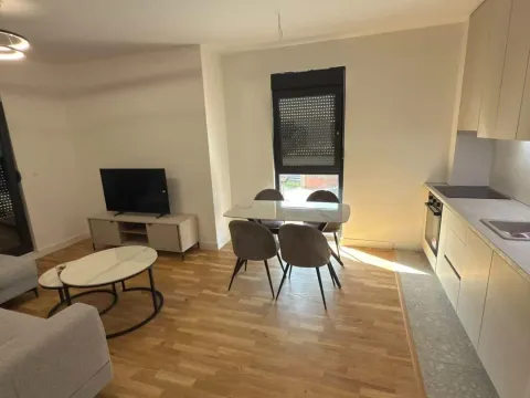 Rent, one bedroom apartment, 45m², Zagorič, Podgorica - image 5