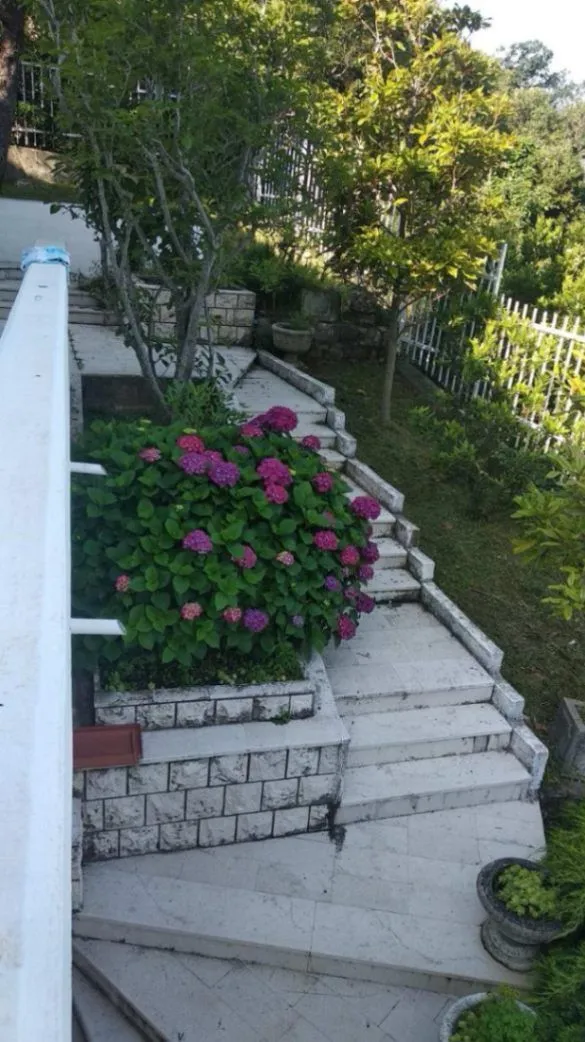 Sale, house, 250m², Reževići, Budva