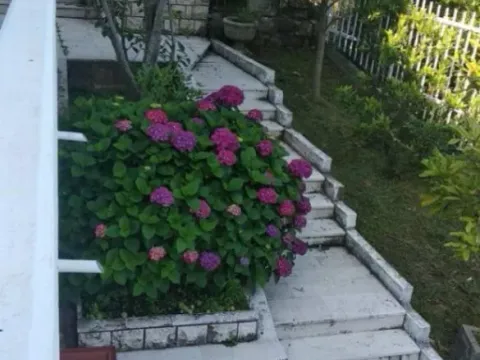 Sale, house, 250m², Reževići, Budva - image 7