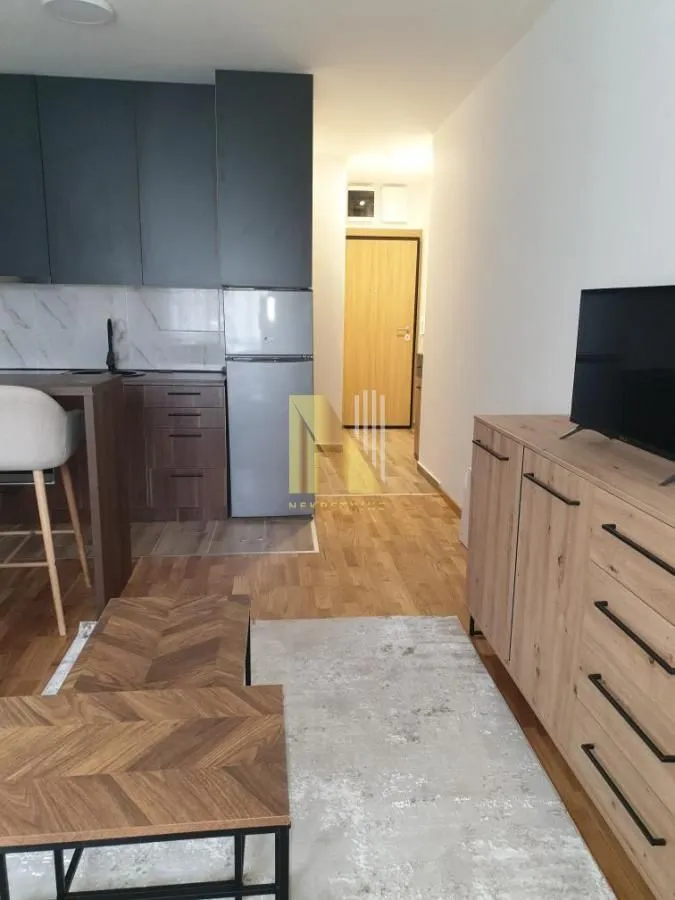 Dnevni boravak sa kuhinjom i trpezarijskim delom u stanu.
