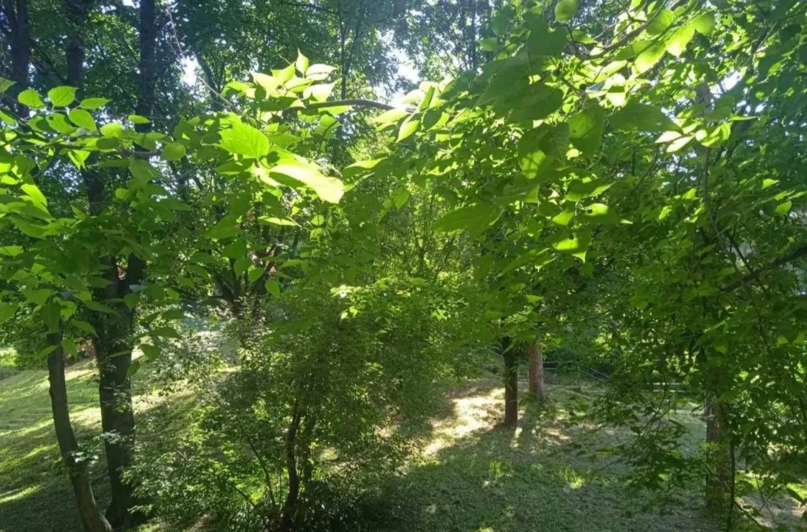 Sale, one bedroom apartment, 38m², Brace Jerković, Voždovac Sve Podlokacije