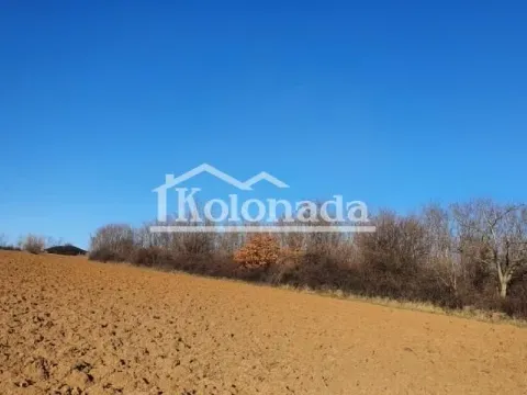 Prodaja, plac, 9500m², Sopot, Beograd - image 5