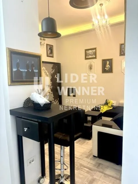 Izdavanje, jednosoban stan, 22m², Bajlonijeva Pijaca, Beograd