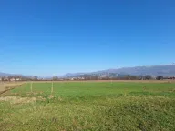 Prodaja, plac, 2000m², Ćurilac, Danilovgrad - image 5