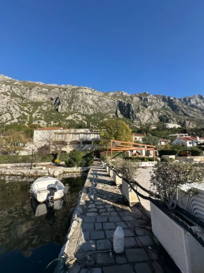Rent, hospitality venue, 500m², Dobrota, Kotor
