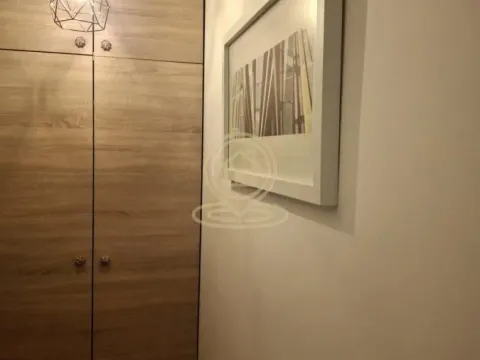 Rent, two bedroom apartment, 55m², Stari Grad, Beograd - image 19