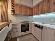 Rent, one bedroom apartment, 50m², Ljubović, Podgorica - image 2