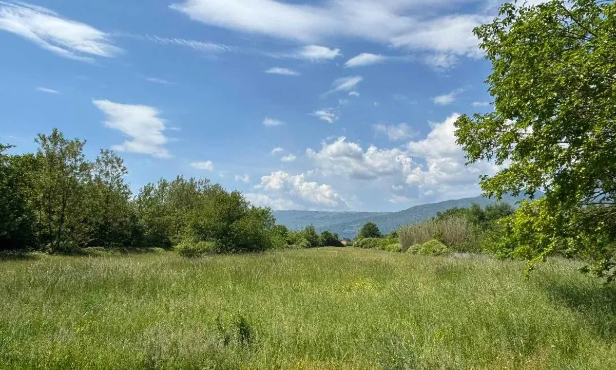 Prodaja, plac, 8384m², Kosić, Danilovgrad