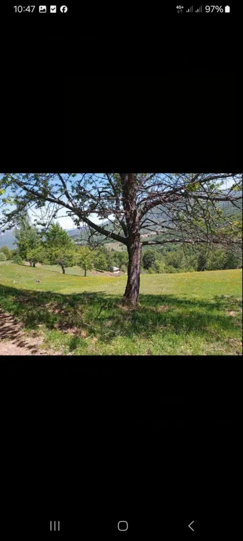 Prostran zeleni plac sa drvećem u prirodnom okruženju.