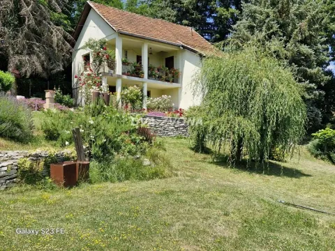 Pogled na dvorište i fasadu kuće sa uređenim vrtom. - image 3