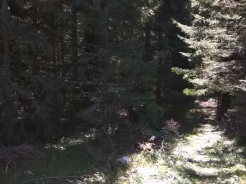 Sale, land lot, 17803m², Podgora, Žabljak - image 7