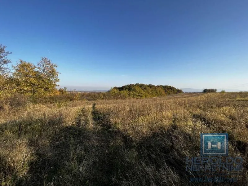 Prodaja, kuća, 20m², Lozovik, Jagodina
