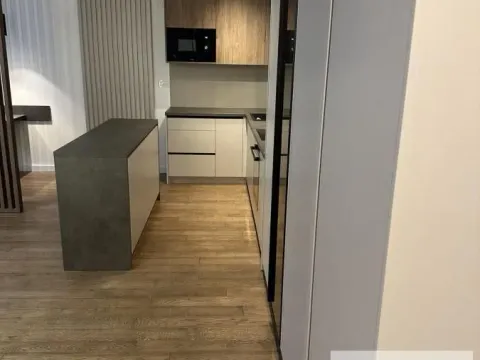 Prodaja, dvosoban stan, 65m², Vračar Centar, Vračar Sve Podlokacije - image 9