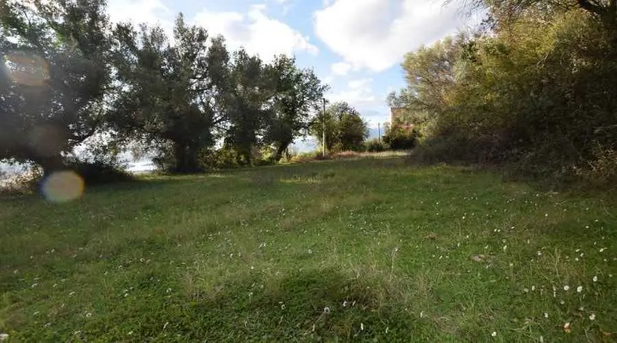 Prostrani zeleni plac okružen drvećem pod plavim nebom.