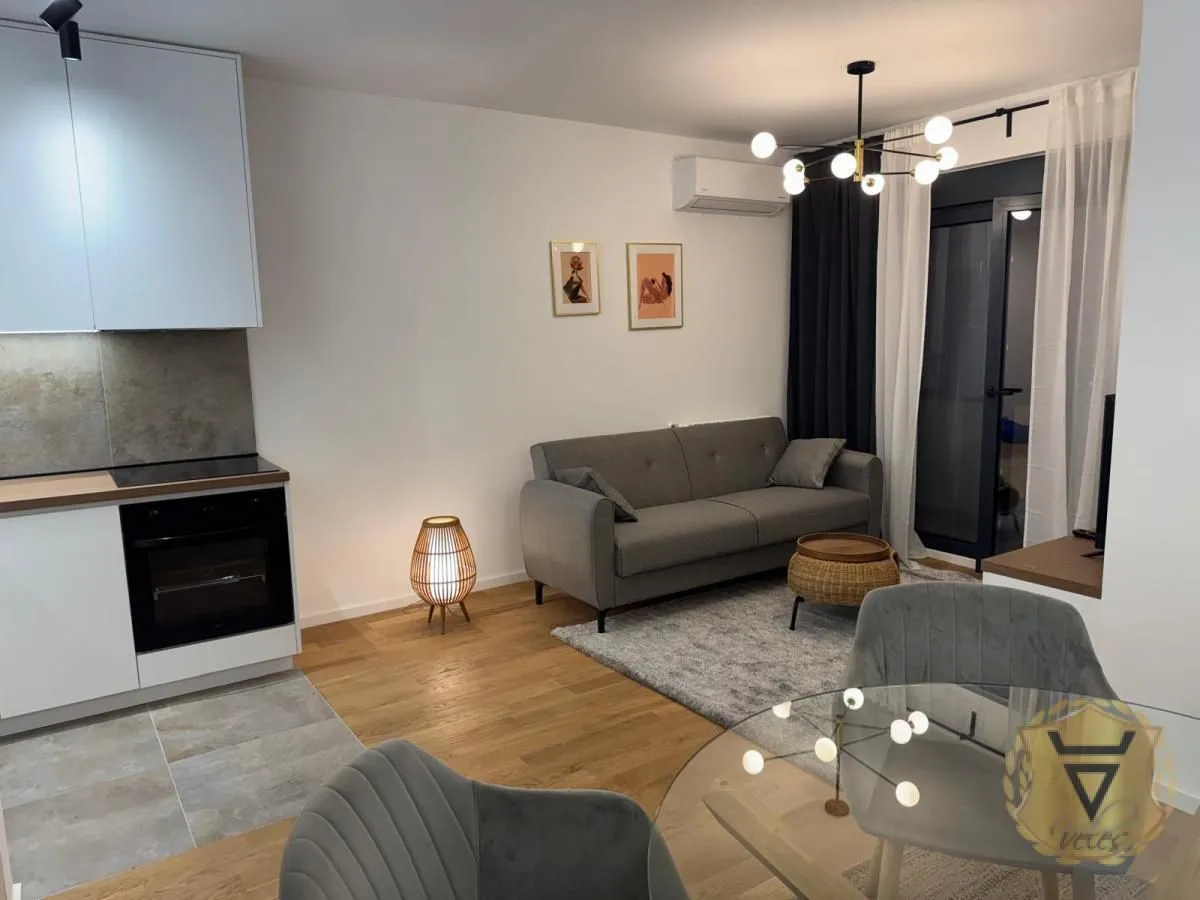 Izdavanje, jednosoban stan, 44m², Bogoslovija, Palilula Sve Podlokacije