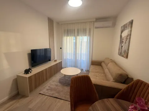 Rent, one bedroom apartment, 45m², Krivi Most, Podgorica - image 2