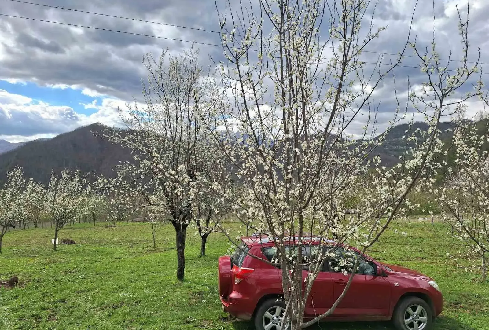 Prodaja, plac, 15588m², Kolašin, Crna Gora