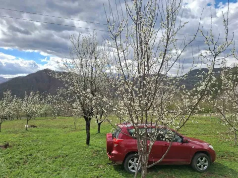 Prodaja, plac, 15588m², Kolašin, Crna Gora - image 4
