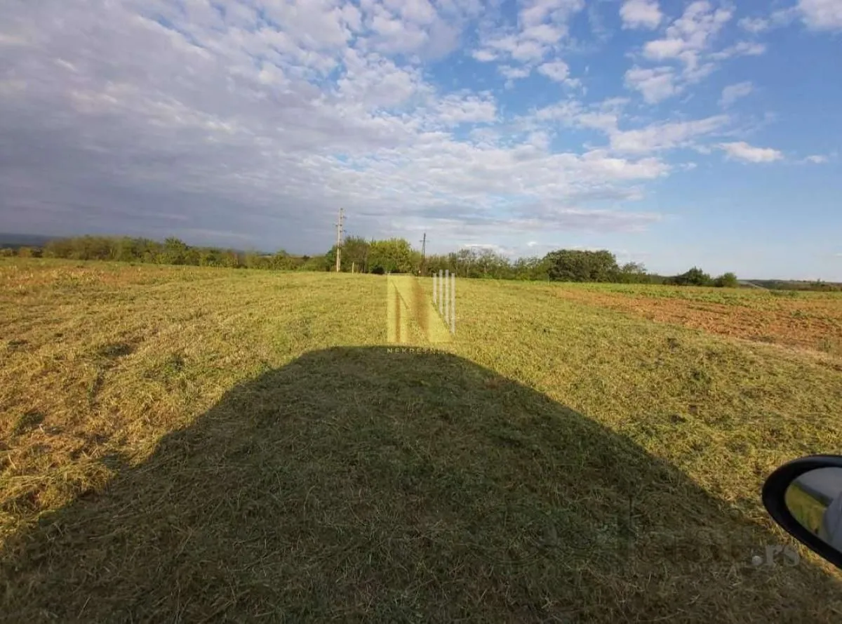 Prodaja, plac, 1279m², Novi Sad, Srbija