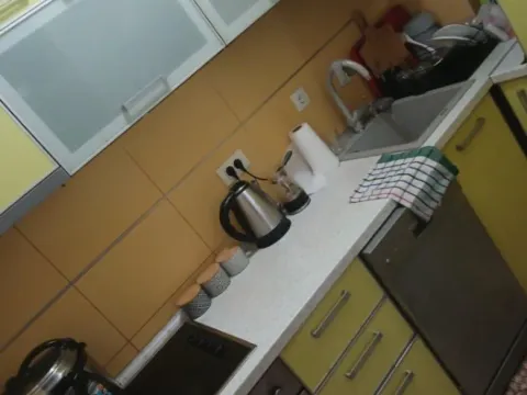 Izdavanje, jednosoban stan, 50m², Zabjelo, Podgorica - image 4