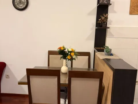 Izdavanje, jednosoban stan, 40m², Stari Aerodrom, Podgorica - image 10