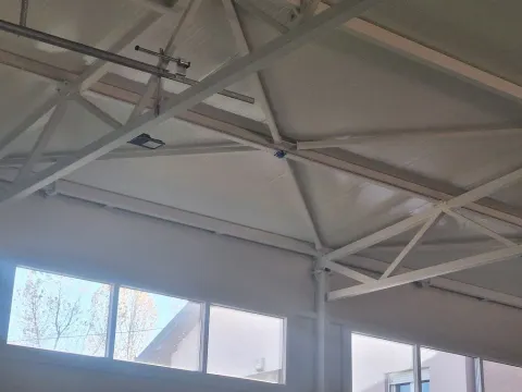 Izdavanje, poslovni prostor, 580m², Zemun Sve Podlokacije, Beograd - image 7