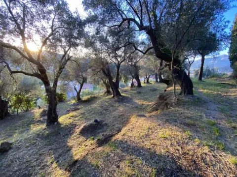 Prodaja, plac, 3770m², Zaljevo, Bar - image 5