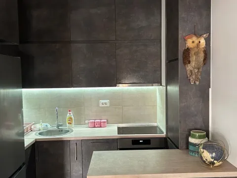 Rent, one bedroom apartment, 44m², City Kej, Podgorica - image 3