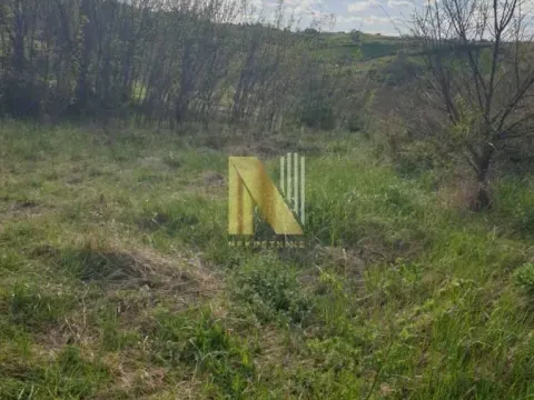 Prodaja, plac, 2500m², Novi Sad, Srbija - image 3