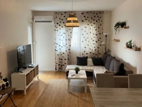 Izdavanje, jednosoban stan, 49m², Central Point, Podgorica - image 3