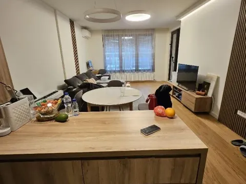 Izdavanje, dvosoban stan, 55m², Stari Grad, Beograd - image 4