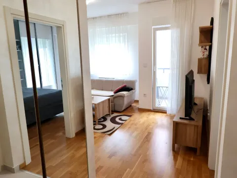 Izdavanje, jednosoban stan, 49m², Zabjelo, Podgorica - image 3