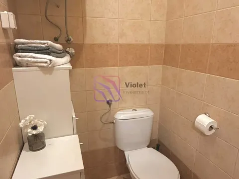 Rent, one bedroom apartment, 45m², Vezirov Most, Podgorica - image 5