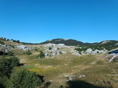 Prodaja, plac, 9000m², Ivanova Korita, Cetinje - image 8