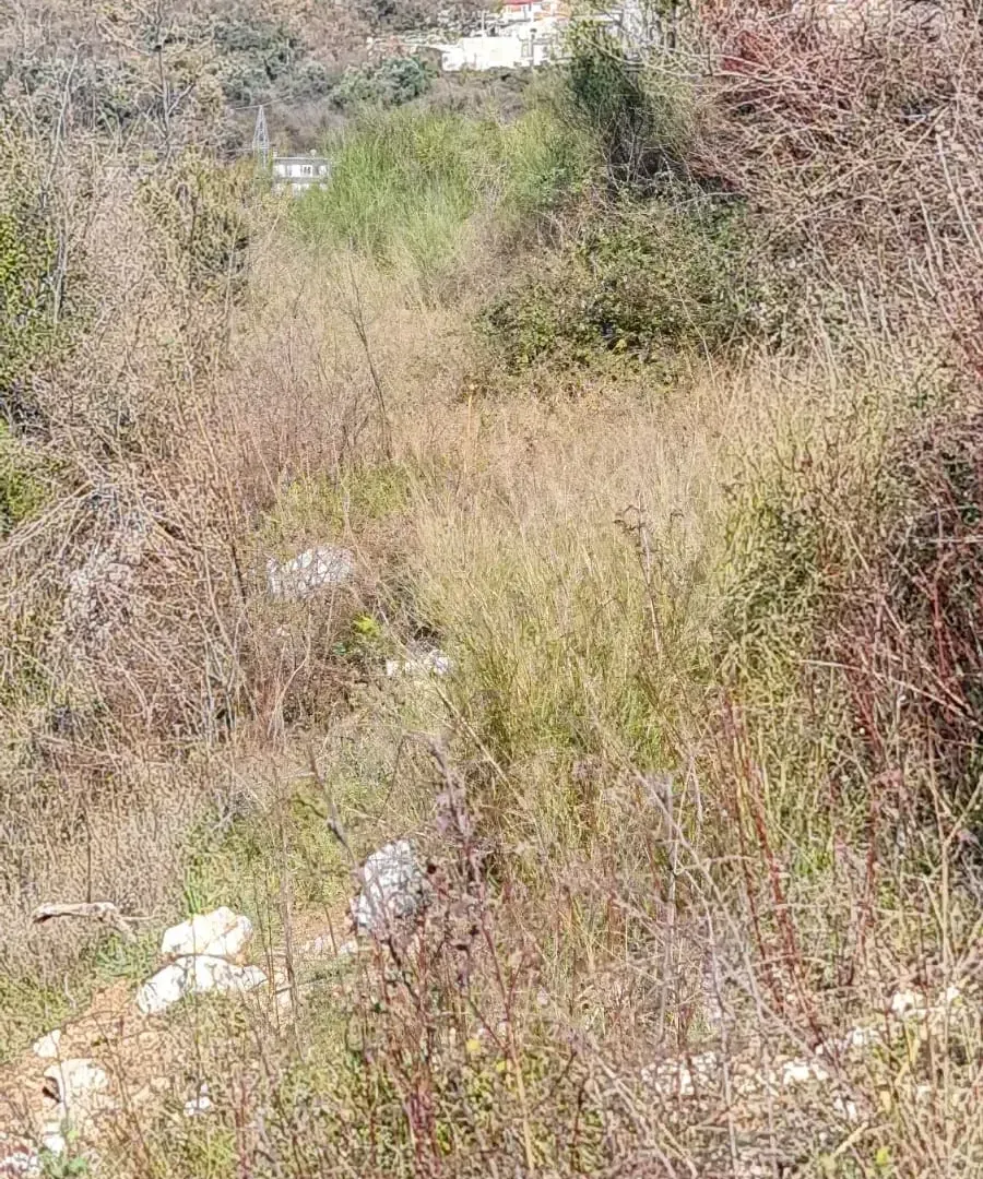 Prodaja, plac, 491m², Kotor, Crna Gora