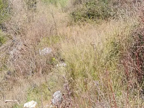 Prodaja, plac, 491m², Kotor, Crna Gora - image 4