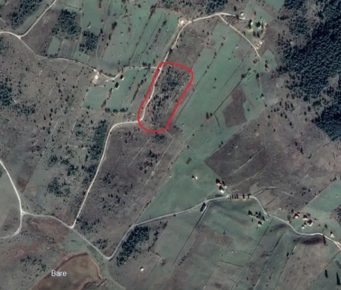 Prodaja, plac, 8000m², Žabljak, Crna Gora