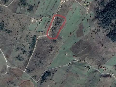 Prodaja, zemljište, 8000m2, Žabljak Prodaja, zemljište, 8000m2, Žabljak