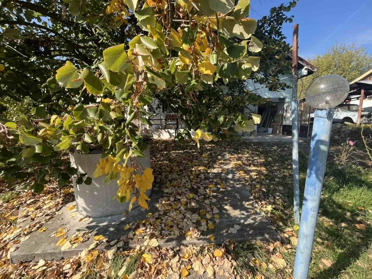 Prodaja, kuća, 95m², Siokovac, Jagodina