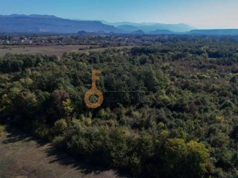 Prodaja, plac, 12000m², Danilovgrad, Crna Gora - image 6